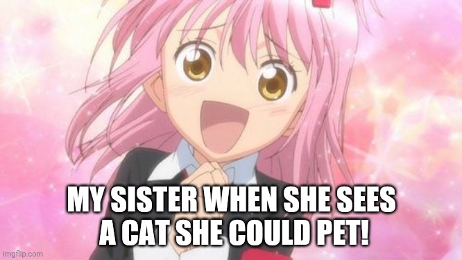 aww anime girl | MY SISTER WHEN SHE SEES
 A CAT SHE COULD PET! | image tagged in aww anime girl | made w/ Imgflip meme maker