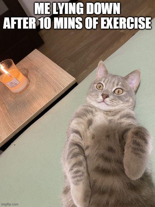 Lying Cat - 10 mins of exercise | ME LYING DOWN
AFTER 10 MINS OF EXERCISE | image tagged in lying cat with candle | made w/ Imgflip meme maker