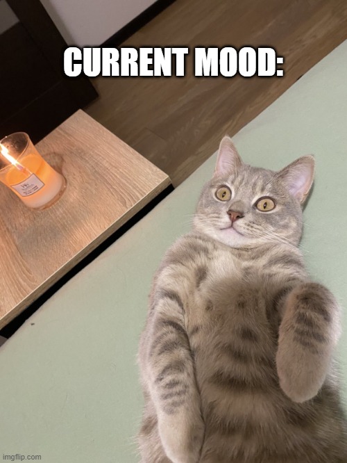 Lying Cat - Current Mood | CURRENT MOOD: | image tagged in lying cat with candle | made w/ Imgflip meme maker
