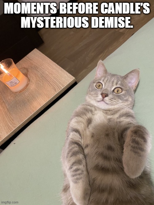 Lying Cat - Moments Before... | MOMENTS BEFORE CANDLE’S
MYSTERIOUS DEMISE. | image tagged in lying cat with candle | made w/ Imgflip meme maker