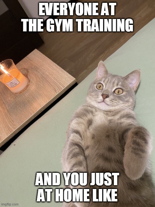 Lying Cat - You Just At Home Like | EVERYONE AT
THE GYM TRAINING; AND YOU JUST AT HOME LIKE | image tagged in lying cat with candle | made w/ Imgflip meme maker