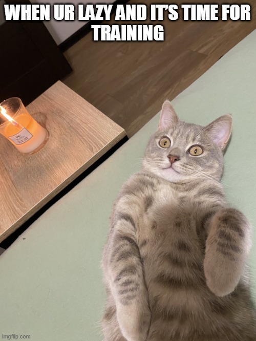Lying Cat - When Ur Lazy | WHEN UR LAZY AND IT’S TIME FOR
TRAINING | image tagged in lying cat with candle | made w/ Imgflip meme maker