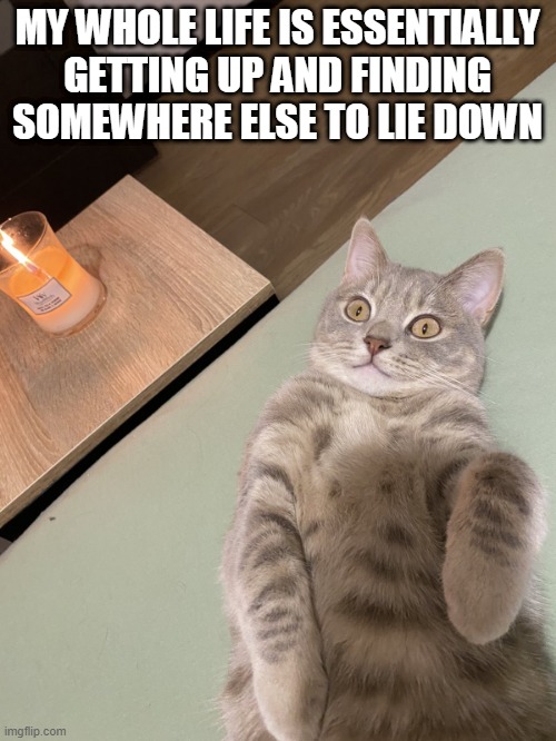 Lying Cat - My Whole Life Is Essentially | MY WHOLE LIFE IS ESSENTIALLY
GETTING UP AND FINDING
SOMEWHERE ELSE TO LIE DOWN | image tagged in lying cat with candle | made w/ Imgflip meme maker