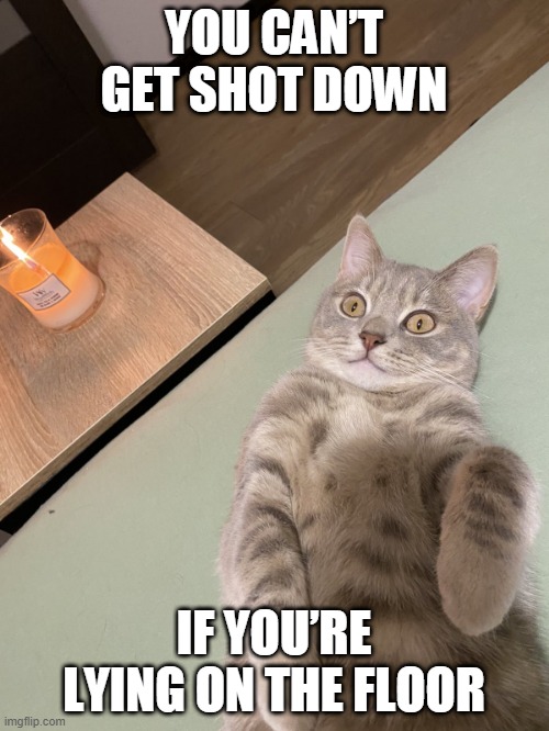 Lying Cat - Can't Get Shot Down | YOU CAN’T GET SHOT DOWN; IF YOU’RE LYING ON THE FLOOR | image tagged in lying cat with candle | made w/ Imgflip meme maker