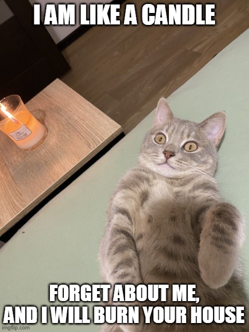 Lying Cat - I Am Like a Candle | I AM LIKE A CANDLE; FORGET ABOUT ME,
AND I WILL BURN YOUR HOUSE | image tagged in lying cat with candle | made w/ Imgflip meme maker