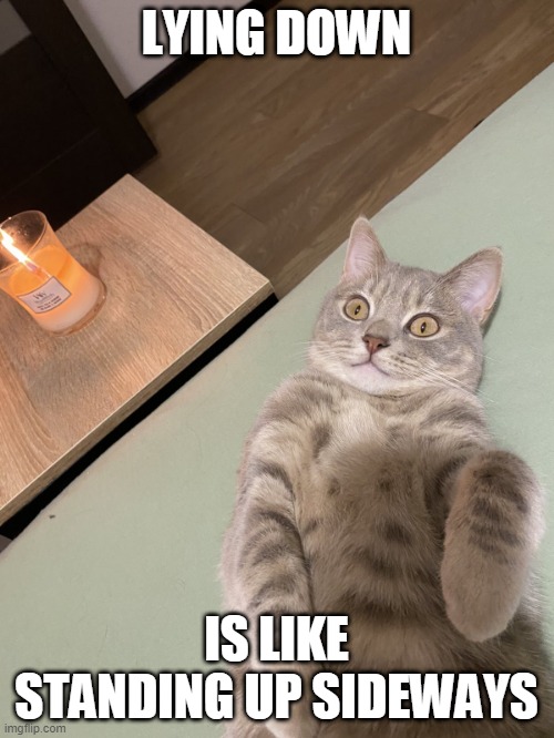 Lying Cat - Lying Down Is Like Standing Up Sideways | LYING DOWN; IS LIKE
STANDING UP SIDEWAYS | image tagged in lying cat with candle | made w/ Imgflip meme maker