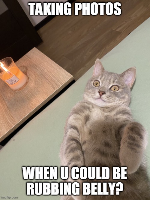 Lying Cat - Rubbing Belly | TAKING PHOTOS; WHEN U COULD BE
RUBBING BELLY? | image tagged in lying cat with candle | made w/ Imgflip meme maker