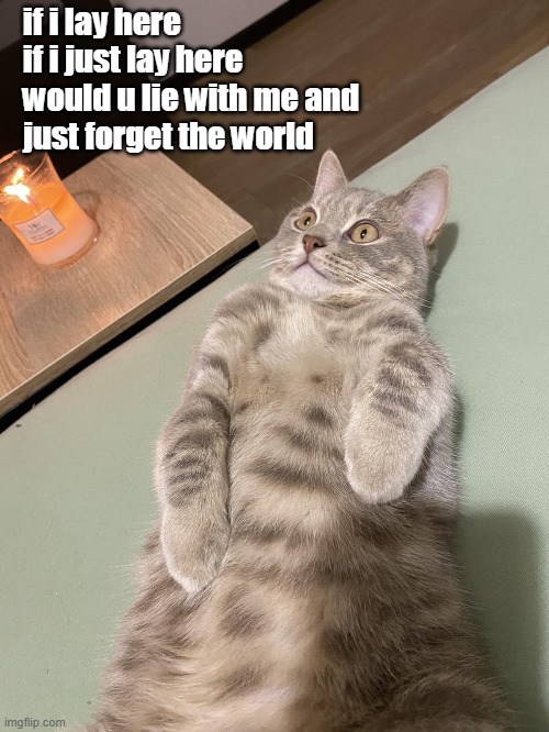 Lying Cat - Snow Patrol - Chasing Cars Meme | if i lay here
if i just lay here
would u lie with me and
just forget the world | image tagged in lying cat with candle 2 | made w/ Imgflip meme maker
