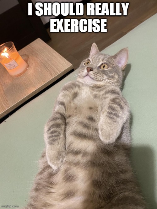 Lying Cat - I Should Really Exercise | I SHOULD REALLY
EXERCISE | image tagged in lying cat with candle 2 | made w/ Imgflip meme maker