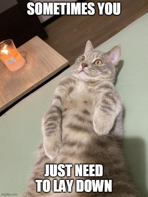 Lying Cat - Just Need to Lay Down | SOMETIMES YOU; JUST NEED TO LAY DOWN | image tagged in lying cat with candle 2 | made w/ Imgflip meme maker