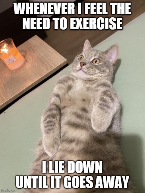 Lying Cat - Whenever I Feel the Need to Exercise | WHENEVER I FEEL THE
NEED TO EXERCISE; I LIE DOWN UNTIL IT GOES AWAY | image tagged in lying cat with candle 2 | made w/ Imgflip meme maker