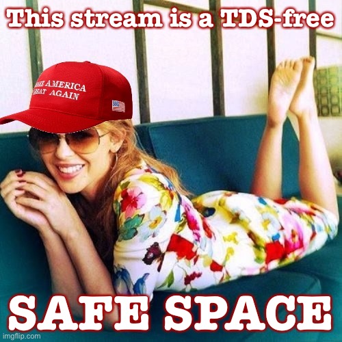 That’s why conservatives are busting down our doors and we’re healing the political community. See, PoliticsTOO? It can be done | This stream is a TDS-free; SAFE SPACE | image tagged in maga kylie,government,trump derangement syndrome,trump,conservatives,imgflip community | made w/ Imgflip meme maker