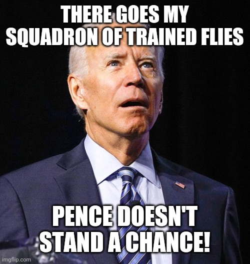Joe Biden | THERE GOES MY SQUADRON OF TRAINED FLIES PENCE DOESN'T STAND A CHANCE! | image tagged in joe biden | made w/ Imgflip meme maker