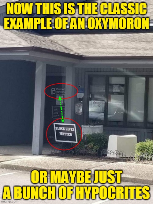 Oxymoron | NOW THIS IS THE CLASSIC EXAMPLE OF AN OXYMORON; OR MAYBE JUST A BUNCH OF HYPOCRITES | image tagged in oxymoron,planned parenthood,blm,abortion | made w/ Imgflip meme maker