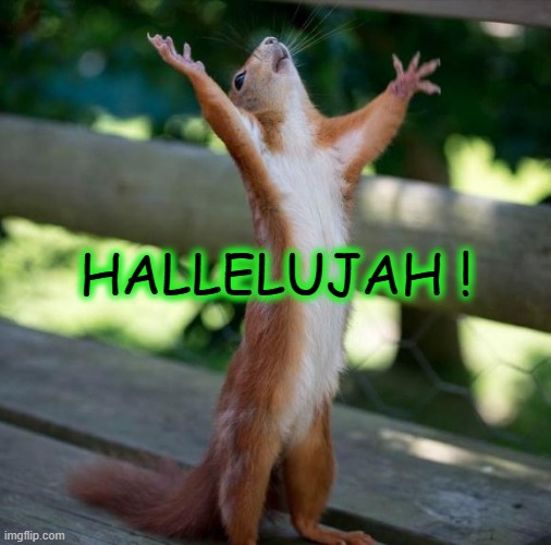 Halleluja! | HALLELUJAH ! | image tagged in finally,relief,joy,victory | made w/ Imgflip meme maker