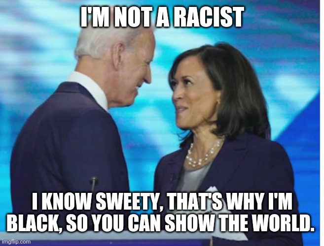 As pure as new fallen coal from Scranton,  PA, which of course we'll ban. | I'M NOT A RACIST; I KNOW SWEETY, THAT'S WHY I'M BLACK, SO YOU CAN SHOW THE WORLD. | image tagged in get a room | made w/ Imgflip meme maker