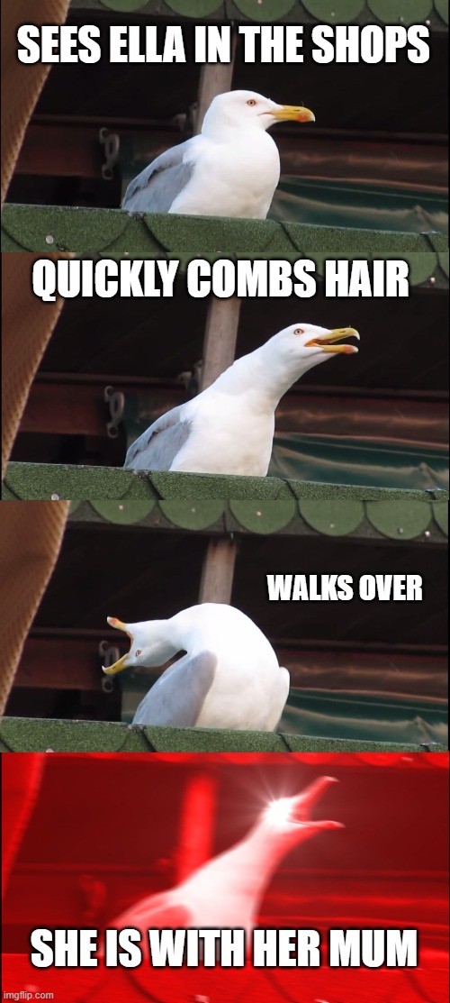 ellla is my gf | SEES ELLA IN THE SHOPS; QUICKLY COMBS HAIR; WALKS OVER; SHE IS WITH HER MUM | image tagged in memes,inhaling seagull | made w/ Imgflip meme maker