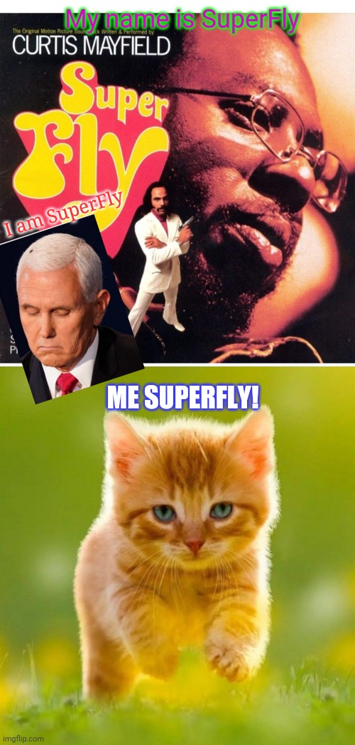 Will the real SuperFly please stand up | My name is SuperFly; I am SuperFly; ME SUPERFLY! | image tagged in super,kitty,i believe i can fly | made w/ Imgflip meme maker