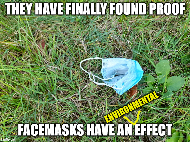 They actually DO something. | THEY HAVE FINALLY FOUND PROOF; FACEMASKS HAVE AN EFFECT; ENVIRONMENTAL | image tagged in facemasks,environment,coronavirus | made w/ Imgflip meme maker
