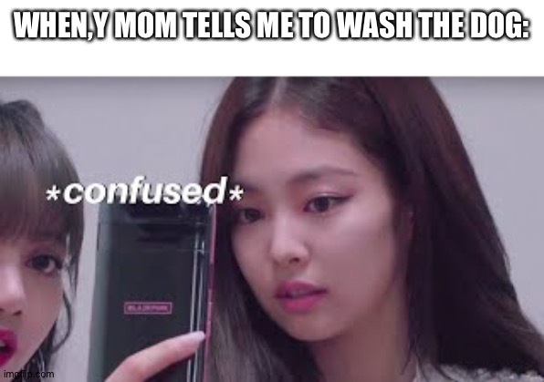 Jennie confused | WHEN,Y MOM TELLS ME TO WASH THE DOG: | image tagged in jennie confused | made w/ Imgflip meme maker