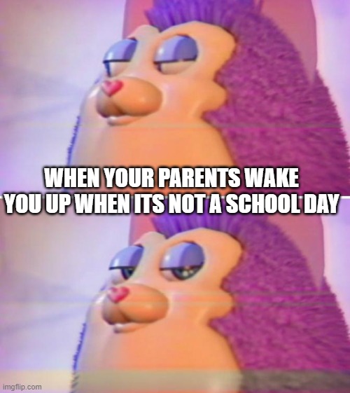 Bruh for real? | WHEN YOUR PARENTS WAKE YOU UP WHEN ITS NOT A SCHOOL DAY | image tagged in bruh for real | made w/ Imgflip meme maker