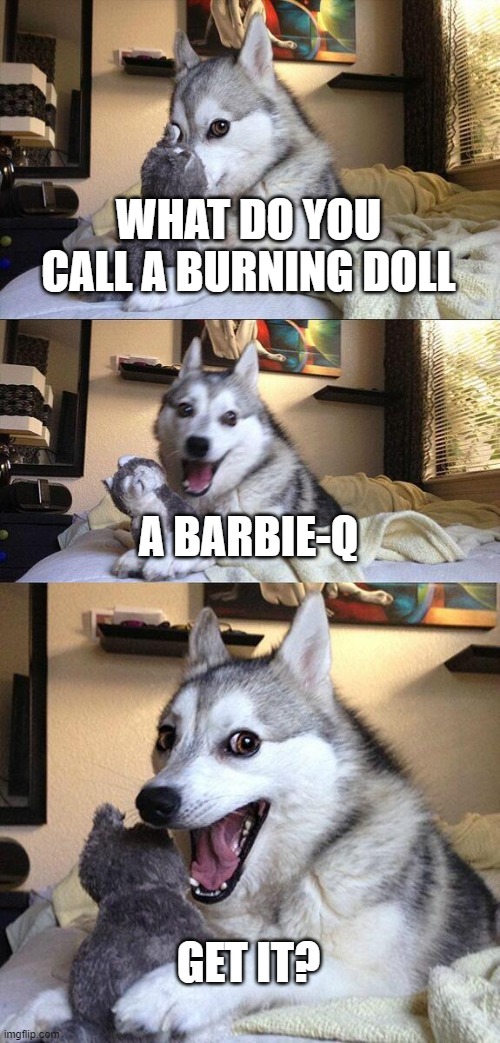 Bad Pun Dog | WHAT DO YOU CALL A BURNING DOLL; A BARBIE-Q; GET IT? | image tagged in memes,bad pun dog | made w/ Imgflip meme maker