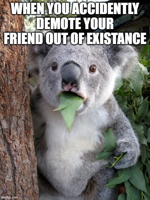Wow | WHEN YOU ACCIDENTLY DEMOTE YOUR FRIEND OUT OF EXISTANCE | image tagged in memes,surprised koala | made w/ Imgflip meme maker