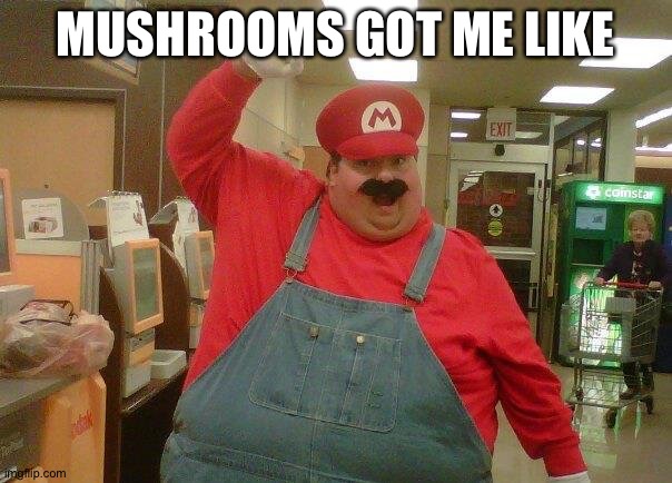 Fat Mario | MUSHROOMS GOT ME LIKE | image tagged in fat mario | made w/ Imgflip meme maker