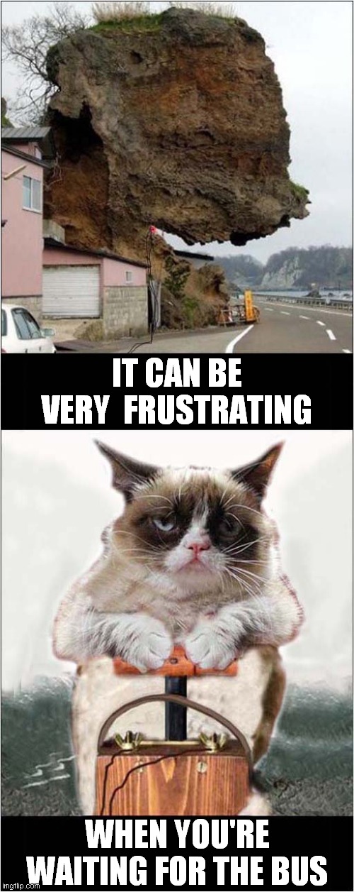 Grumpy Waits | IT CAN BE VERY  FRUSTRATING; WHEN YOU'RE WAITING FOR THE BUS | image tagged in grumpy cat,explosion,rock,bus | made w/ Imgflip meme maker