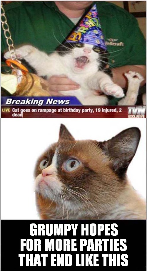 Grumpys Admiration Of Party Animal | GRUMPY HOPES FOR MORE PARTIES THAT END LIKE THIS | image tagged in grumpy cat,party time | made w/ Imgflip meme maker