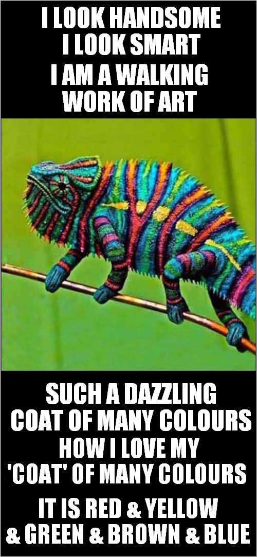 Joseph The Chameleon | I LOOK HANDSOME I LOOK SMART; I AM A WALKING WORK OF ART; SUCH A DAZZLING COAT OF MANY COLOURS; HOW I LOVE MY 'COAT' OF MANY COLOURS; IT IS RED & YELLOW & GREEN & BROWN & BLUE | image tagged in chameleon,musical | made w/ Imgflip meme maker