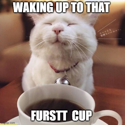 very happy coffre cat | WAKING UP TO THAT; FURSTT  CUP | image tagged in coffee,waking up,cats,happy cat | made w/ Imgflip meme maker