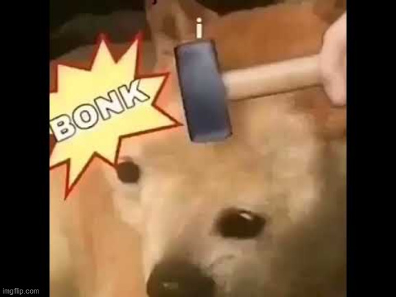 Doge Bonk | image tagged in doge bonk | made w/ Imgflip meme maker