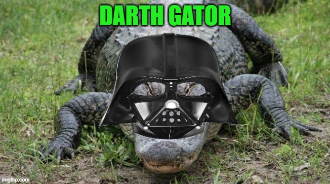 darth gator | DARTH GATOR | image tagged in starwars weekend,kewlew | made w/ Imgflip meme maker