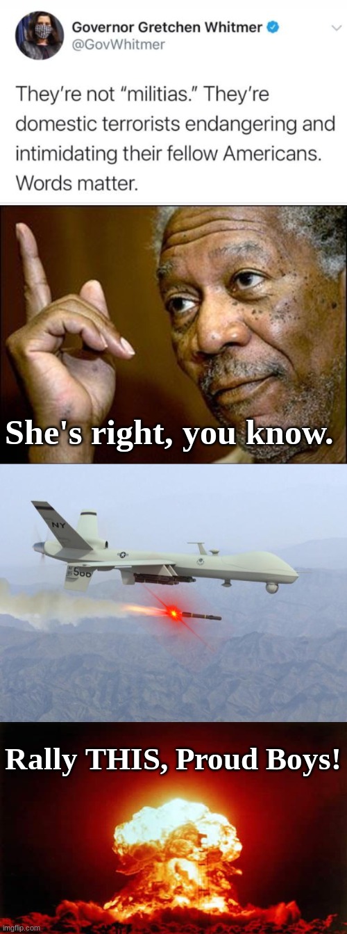 Time to drop some American Freedom on the Militias. | She's right, you know. Rally THIS, Proud Boys! | image tagged in drone,this morgan freeman,proud boys,nuke,governor gretchen whitmer,antifa and proud of it | made w/ Imgflip meme maker