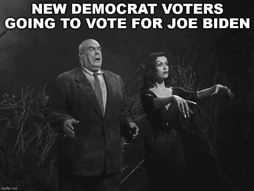 Democrats really bring in the dead vote every year. | NEW DEMOCRAT VOTERS GOING TO VOTE FOR JOE BIDEN | image tagged in political meme,election 2020 | made w/ Imgflip meme maker