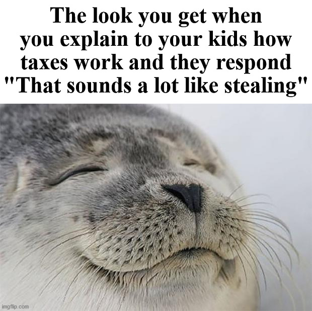 When your kids get it | The look you get when you explain to your kids how taxes work and they respond "That sounds a lot like stealing" | image tagged in memes,satisfied seal,taxes | made w/ Imgflip meme maker