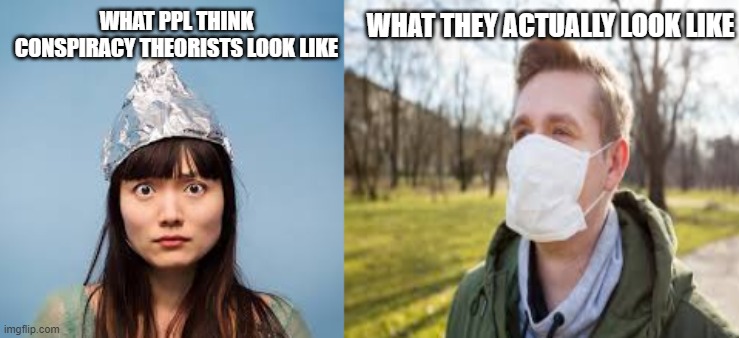 conspiracy theorist | WHAT THEY ACTUALLY LOOK LIKE; WHAT PPL THINK CONSPIRACY THEORISTS LOOK LIKE | image tagged in sheeple,wakeup,convid19,scamdemic,plandemic | made w/ Imgflip meme maker