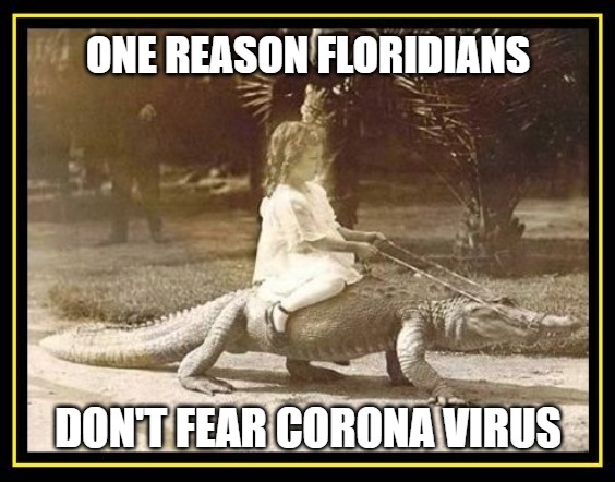 Girl Riding Alligator | ONE REASON FLORIDIANS; DON'T FEAR CORONA VIRUS | image tagged in girl riding alligator | made w/ Imgflip meme maker