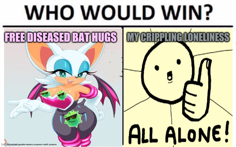 Rouge vs loneliness | FREE DISEASED BAT HUGS; MY CRIPPLING LONELINESS | image tagged in sonic the hedgehog,rouge the bat,bat,disease,free hugs,lonely | made w/ Imgflip meme maker