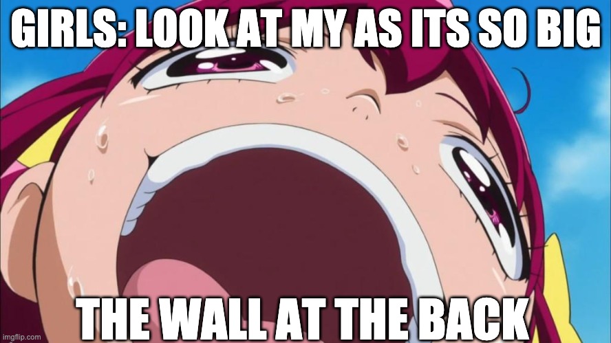 Miyuki's Head Meme | GIRLS: LOOK AT MY AS ITS SO BIG; THE WALL AT THE BACK | image tagged in streched head meme | made w/ Imgflip meme maker