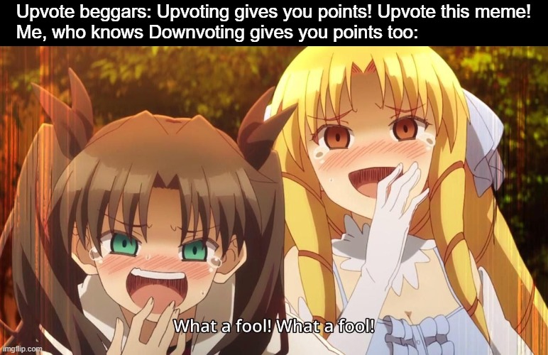 How could they fell for it? | Upvote beggars: Upvoting gives you points! Upvote this meme!
Me, who knows Downvoting gives you points too: | image tagged in animeme,upvote begging,bruh,memes,funny,anime | made w/ Imgflip meme maker