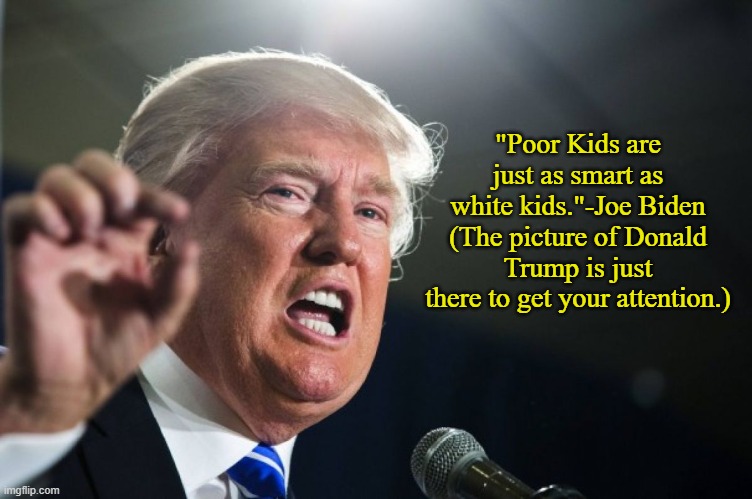 Yes, he really said that. | "Poor Kids are just as smart as white kids."-Joe Biden
(The picture of Donald Trump is just there to get your attention.) | image tagged in donald trump,memes,2020 elections,joe biden | made w/ Imgflip meme maker