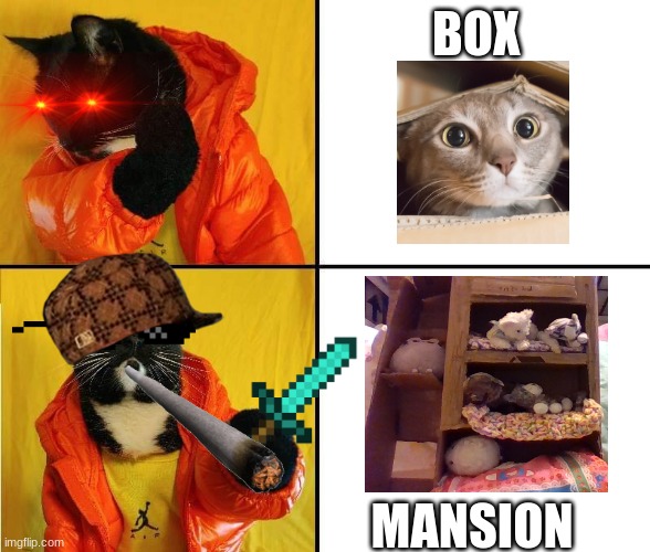 box Cat or box Mansion? | BOX; MANSION | image tagged in kitty drake | made w/ Imgflip meme maker