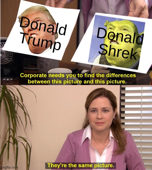 They're The Same Picture | Donald Trump; Donald Shrek | image tagged in memes,they're the same picture | made w/ Imgflip meme maker