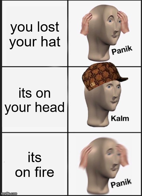 meh give downvote | you lost your hat; its on your head; its on fire | image tagged in memes,panik kalm panik | made w/ Imgflip meme maker
