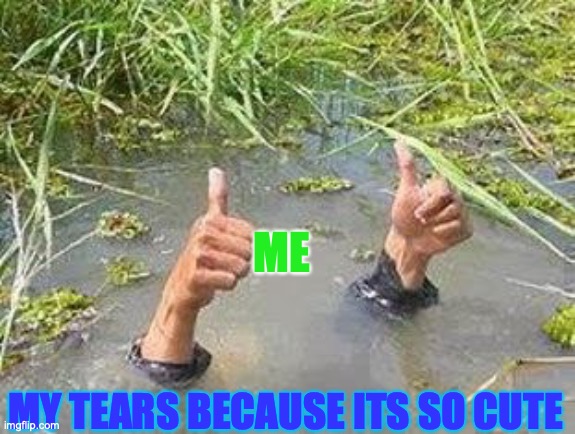 FLOODING THUMBS UP | ME MY TEARS BECAUSE ITS SO CUTE | image tagged in flooding thumbs up | made w/ Imgflip meme maker