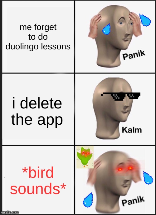 When I forget to do spanish lessons | me forget to do duolingo lessons; i delete the app; *bird sounds* | image tagged in memes,panik kalm panik,duolingo | made w/ Imgflip meme maker