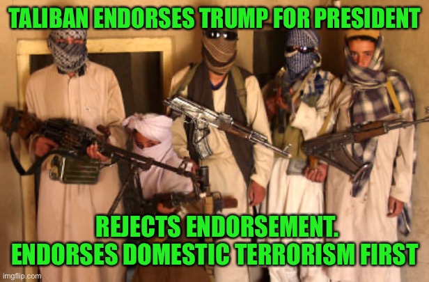 Support Domestic Terrorism. It’s American made | TALIBAN ENDORSES TRUMP FOR PRESIDENT; REJECTS ENDORSEMENT.
ENDORSES DOMESTIC TERRORISM FIRST | image tagged in donald trump,terrorism,covid-19,republicans,crazy,orange | made w/ Imgflip meme maker