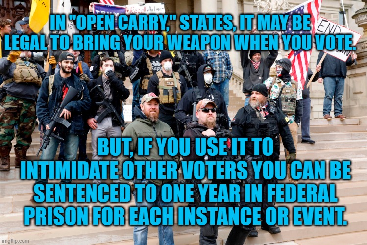 Why Risk Prison, For A Losing Campaign? | IN "OPEN CARRY," STATES, IT MAY BE LEGAL TO BRING YOUR WEAPON WHEN YOU VOTE. BUT, IF YOU USE IT TO INTIMIDATE OTHER VOTERS YOU CAN BE SENTENCED TO ONE YEAR IN FEDERAL PRISON FOR EACH INSTANCE OR EVENT. | image tagged in politics | made w/ Imgflip meme maker